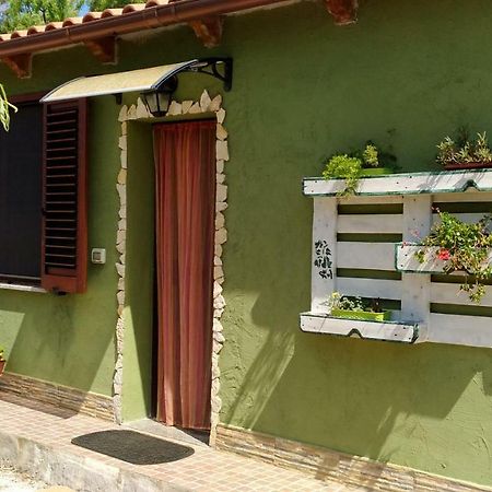 Appartamento Il Salice Casa Minnina Exterior foto