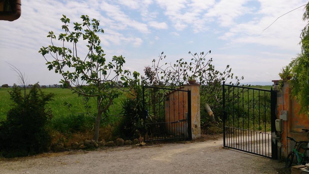 Appartamento Il Salice Casa Minnina Exterior foto